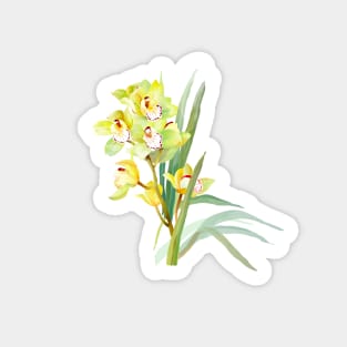 Cymbidium Orchid Sticker